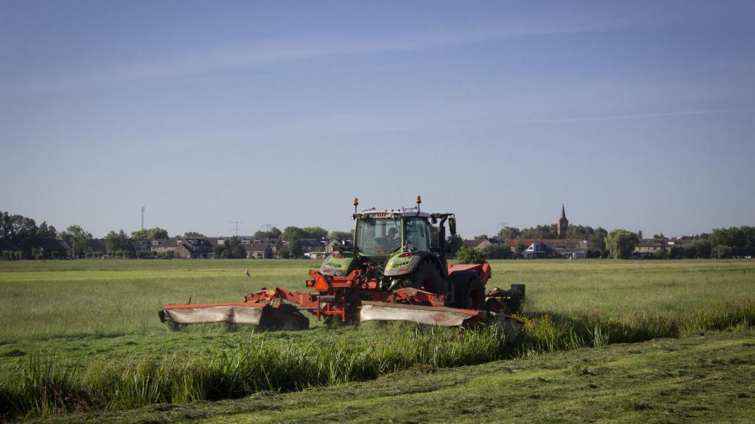 Trekker op een weiland in Bleskensgraaf